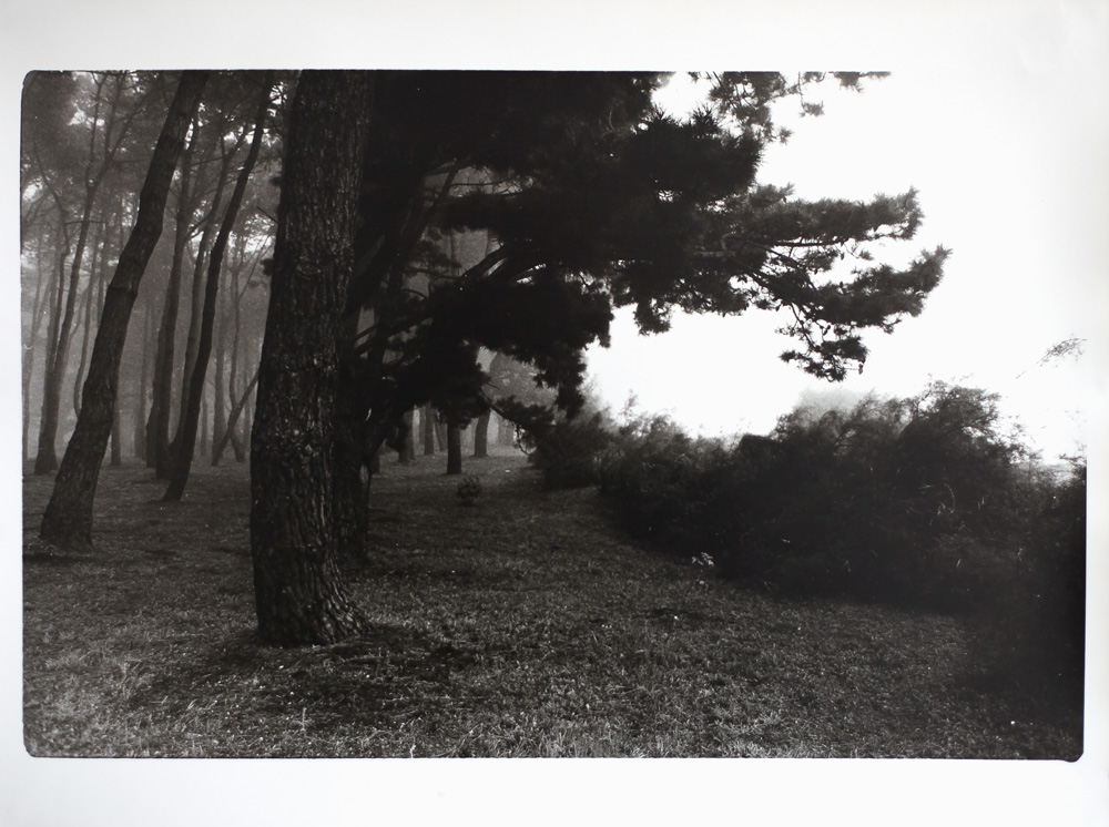 Paimbœuf#1 Tirage photo argentique, Romain Louvel 2025