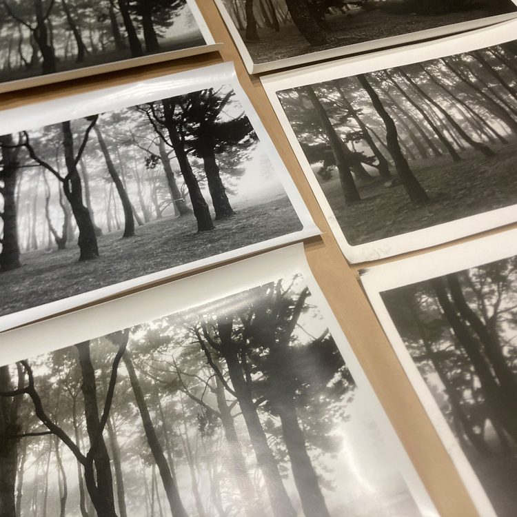 Série Paimbœuf Tirage photo, labo photo argentique, Atelier d'artiste Romain Louvel