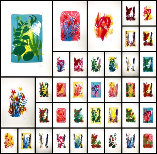 La nature (série de 42 modèle)