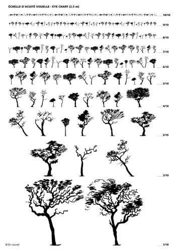 Ophtamologie