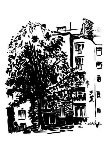 Praga trees postcard
